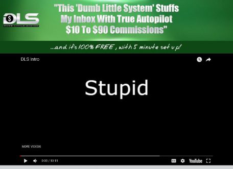 Is Dumb Little System A Scam?