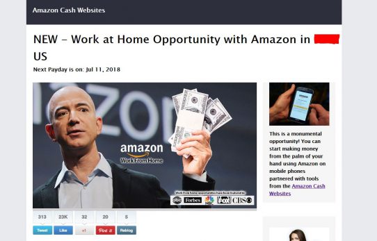 Amazon Cash Websites Scam Review