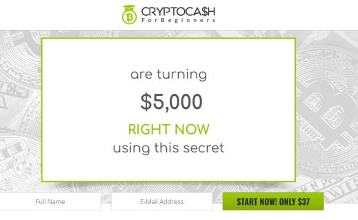 Crypto Cash For Beginners Scam Review