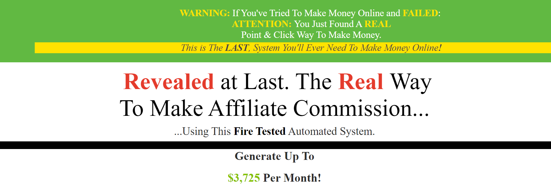 The Last System Scam Review